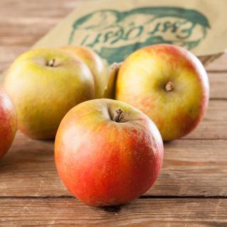 Apfel Wellant  ´65+