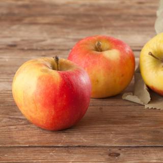 Apfel Elstar  ´65+/75+