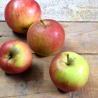 Apfel Roter Topaz