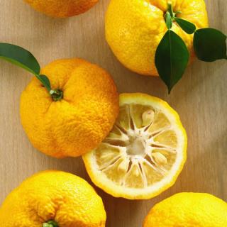 Zitronen Yuzu GELB