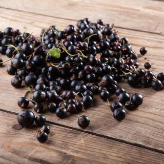 Johannisbeeren SCHWARZ