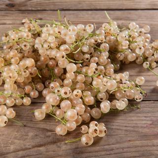 Johannisbeeren WEIß