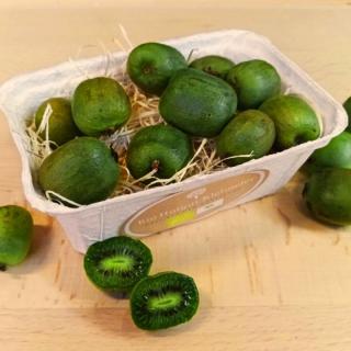 Kiwibeeren lose