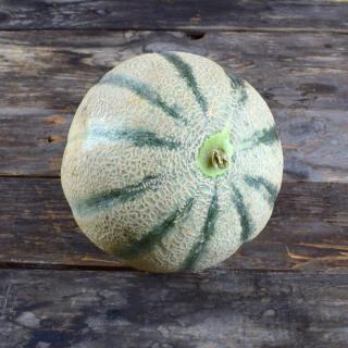 Honigmelonen Cantaloupe