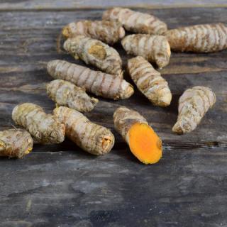 Kurkuma (Gelbwurzel)