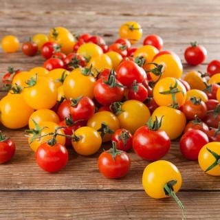 Tomaten Cocktail Rot Freiland