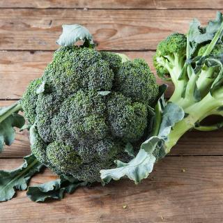 Broccoli