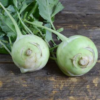 Kohlrabi weiß