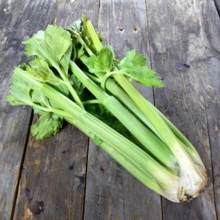 Staudensellerie ohne Tüte  ´300gr+