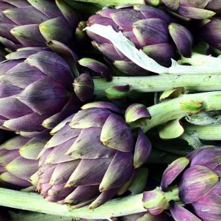 Knoblauch frisch