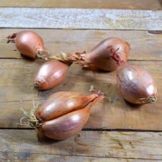 Schalotten lose