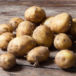 Kartoffeln Talent mk