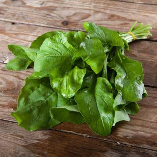 Salat Rucola, breitblättrig