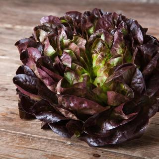 Salat Salanova Crispy MIX