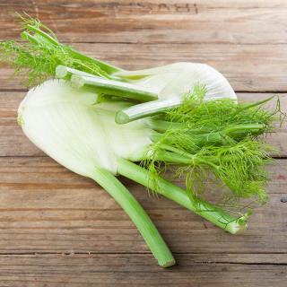 Fenchel mit Grün