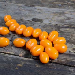 Tomaten Cherry GELB