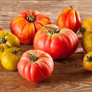 Tomaten Ochsenherzen bunte Mischung