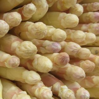 Spargel weiß-violett 18+